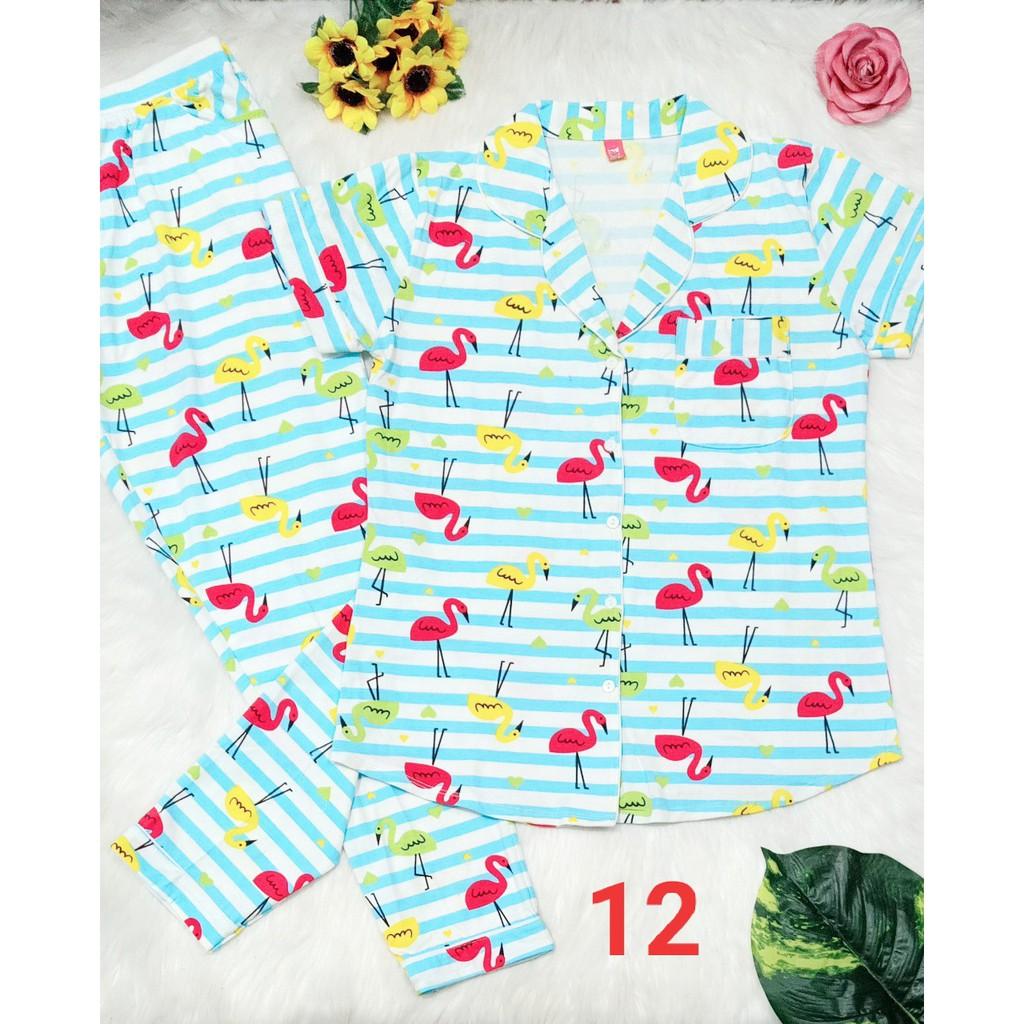Bộ thun cotton xịn đủ kiểu, quần có túi, ảnh thật