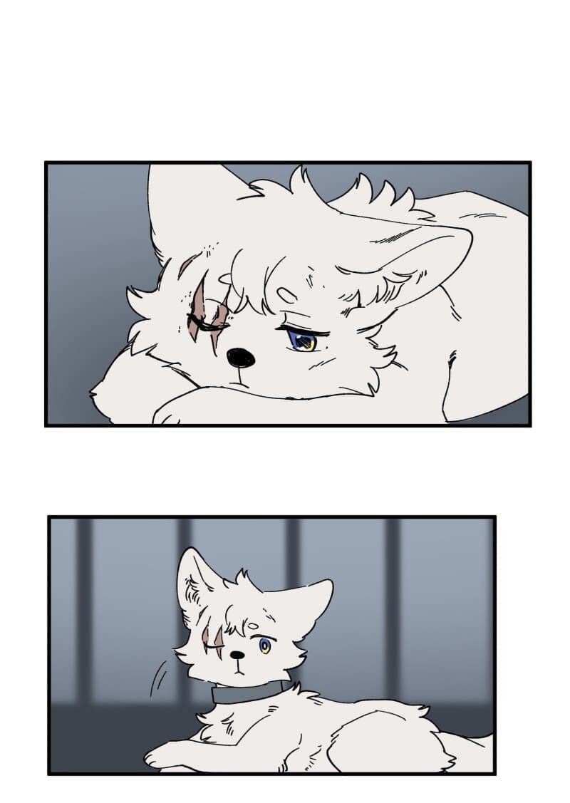 lumine - cội nguồn ánh sáng chapter 139 28