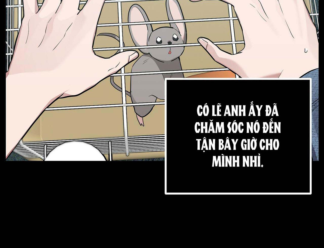 Tất Cả Phản Diện Đều Là Đồ Ngốc chapter 11