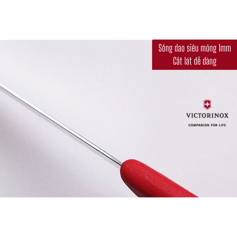 Dụng Cụ Gọt Củ Quả Lưỡi Thẳng 10cm Thép Không Gỉ Cao Cấp VICTORINOX Cán Nhựa Nhiều Màu