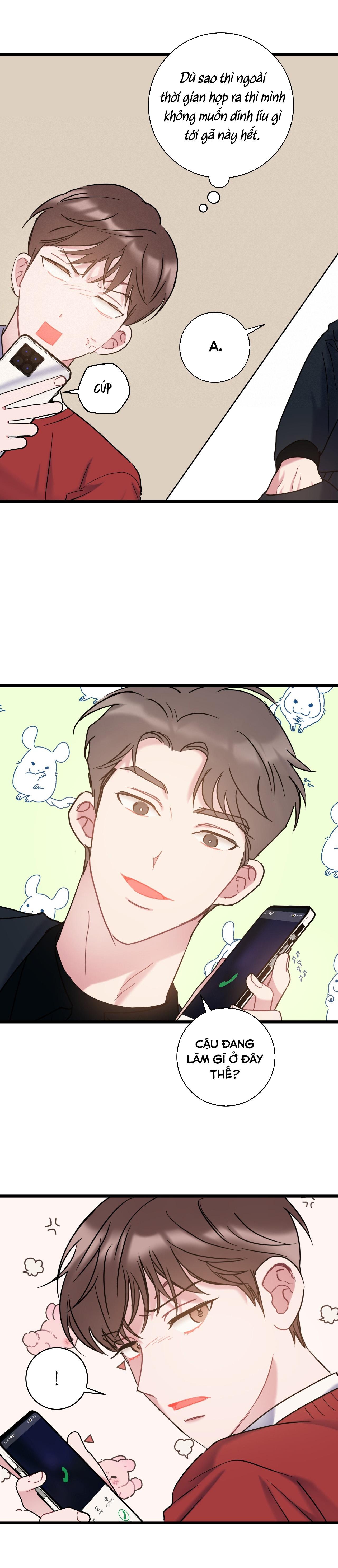 tình yêu bình dị nhất chapter 33 13