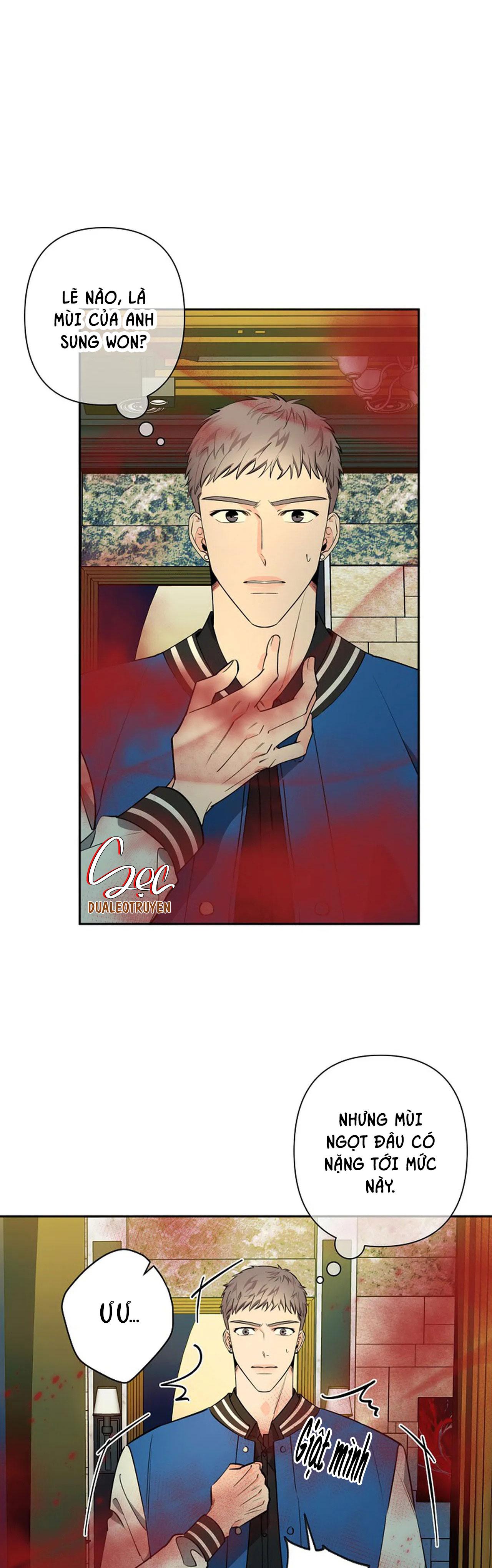 đêm dịu dàng chapter 37 2