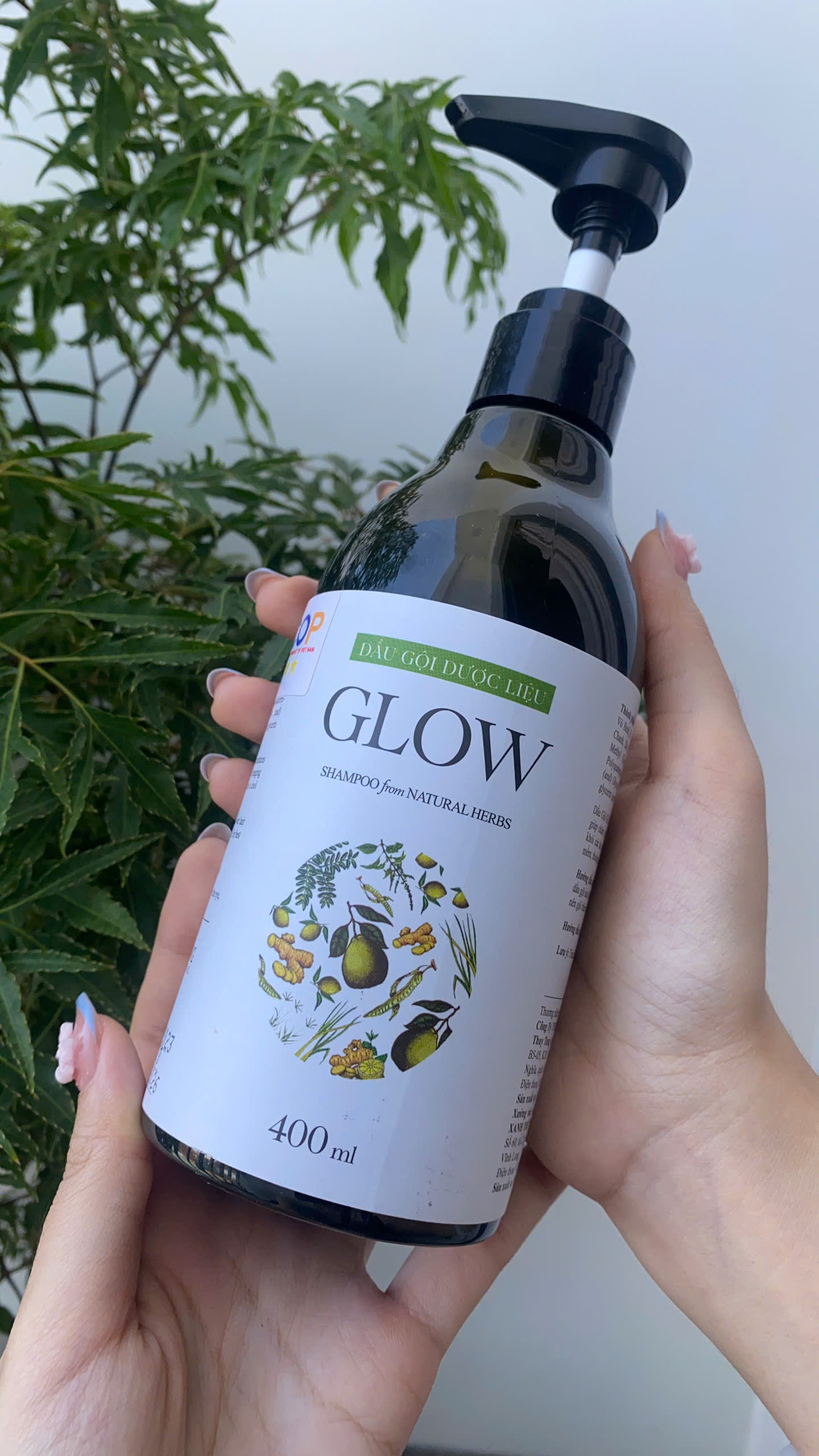 Dầu Gội Dược Liệu Glow 400ml - Giảm Xơ, Giảm Gãy Rụng &amp; Phục Hồi Tóc Hư Tổn