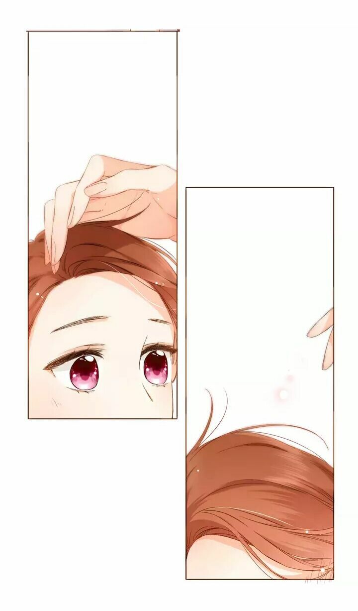 Tình yêu là màu hoa anh thảo chapter 30.2 20