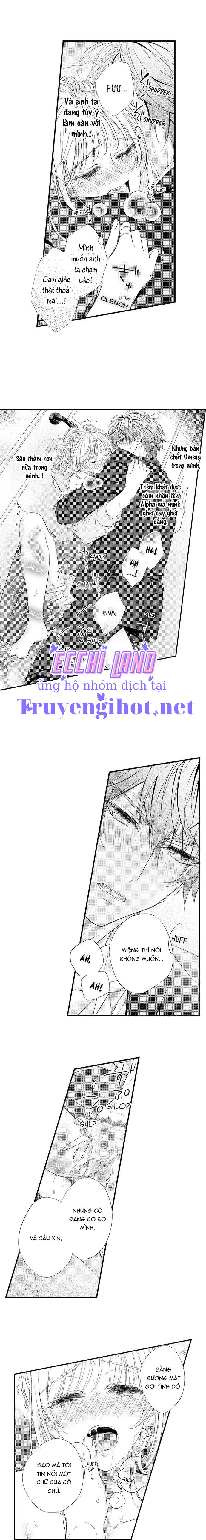 định mệnh thú vị: alpha và omega chapter 6.1 6