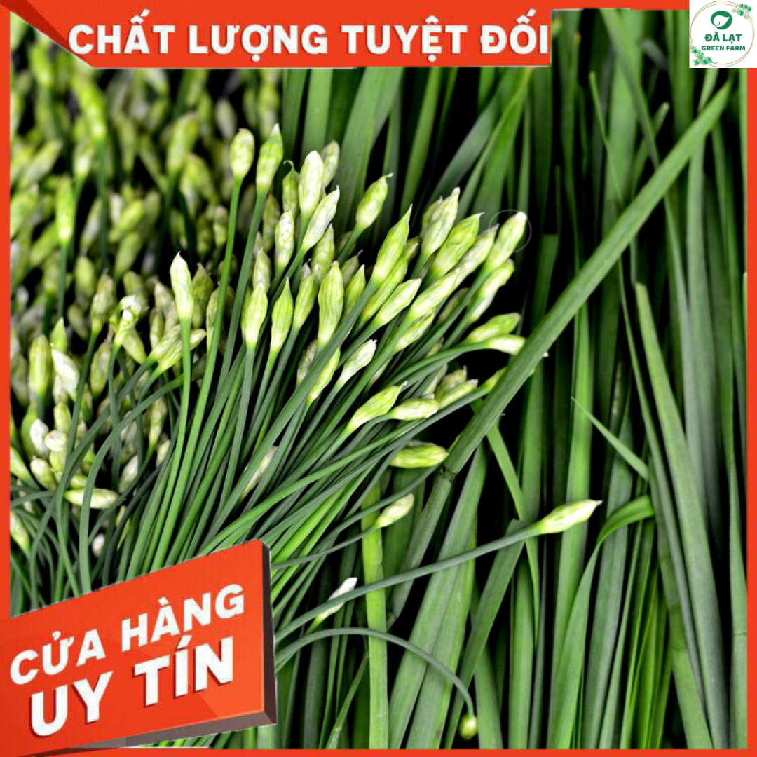 1GR - HẠT GIỐNG HẸ BÔNG