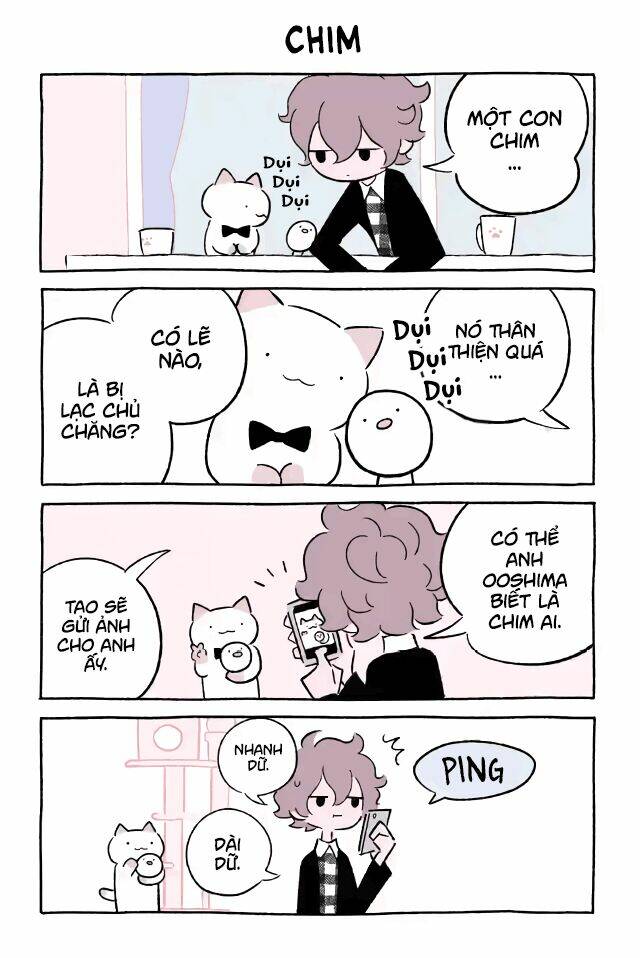 chú mèo kỳ diệu kyuu-chan chapter 543 2