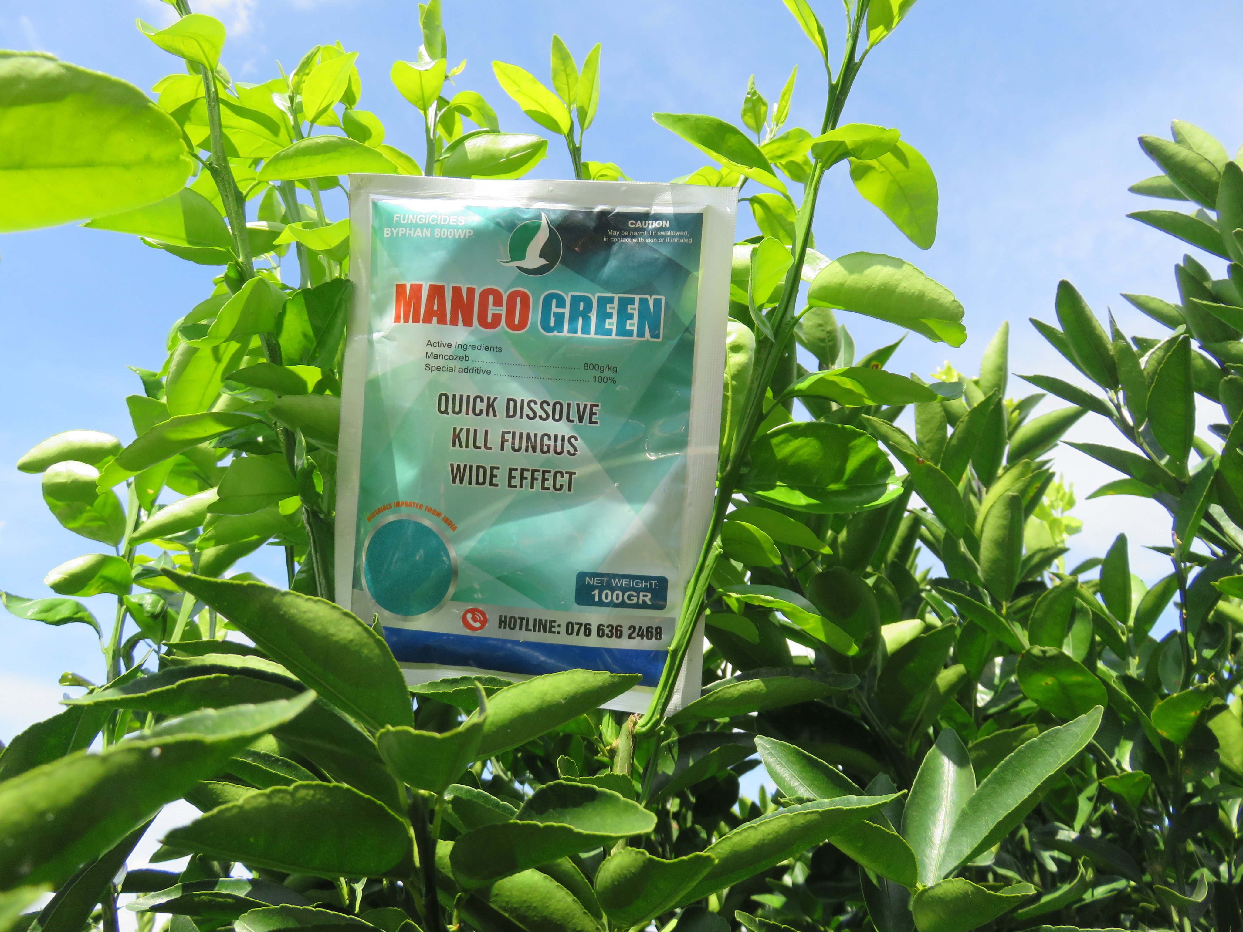 MANCOZEB XANH 100GR. DẠNG BỘT. nguyên liệu Ấn Độ
