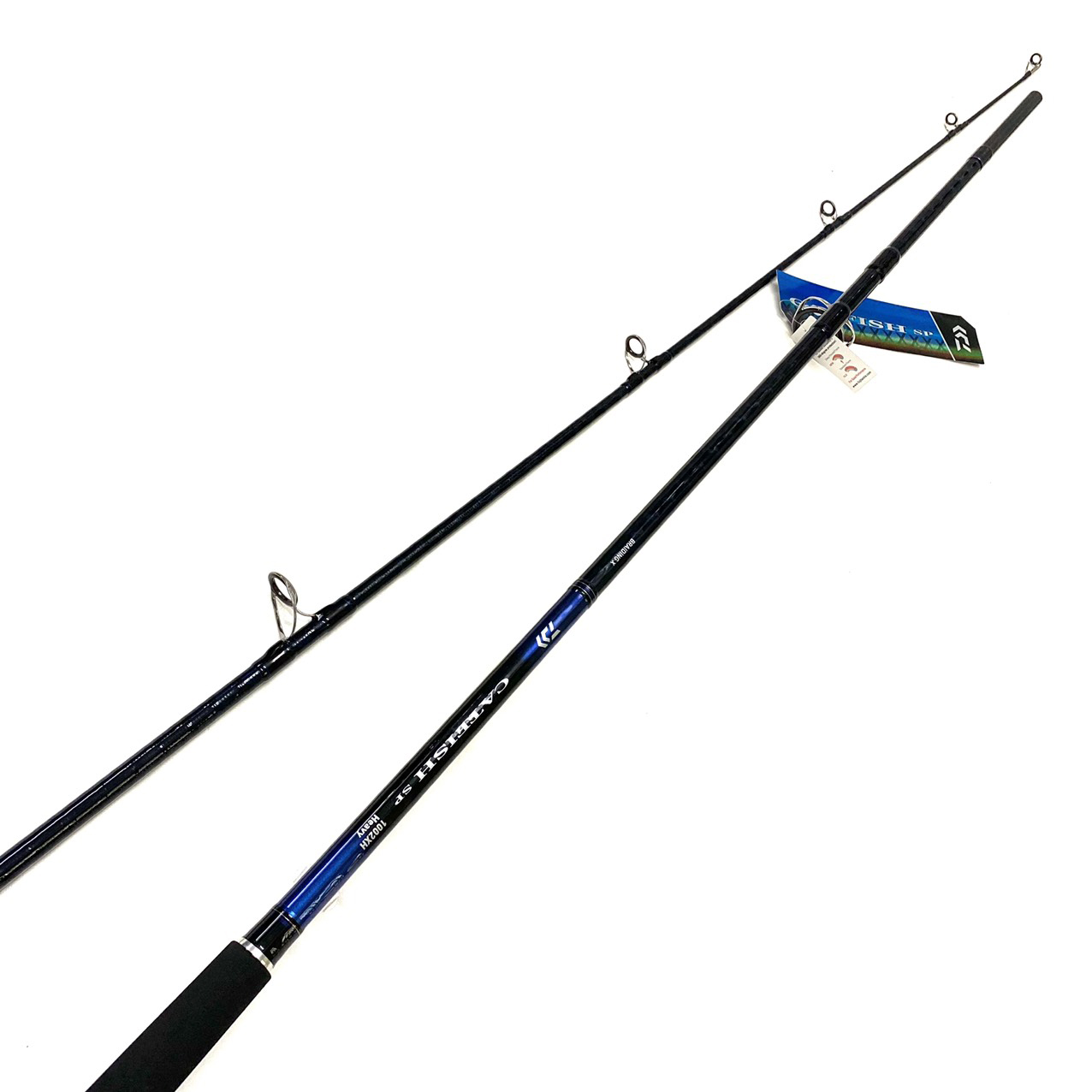 Cần câu cá Daiwa Catfish SP Cần câu cá tra 2 khúc máy đứng 3m05, 3m15 khoen Fuji Concept Pat Fuji