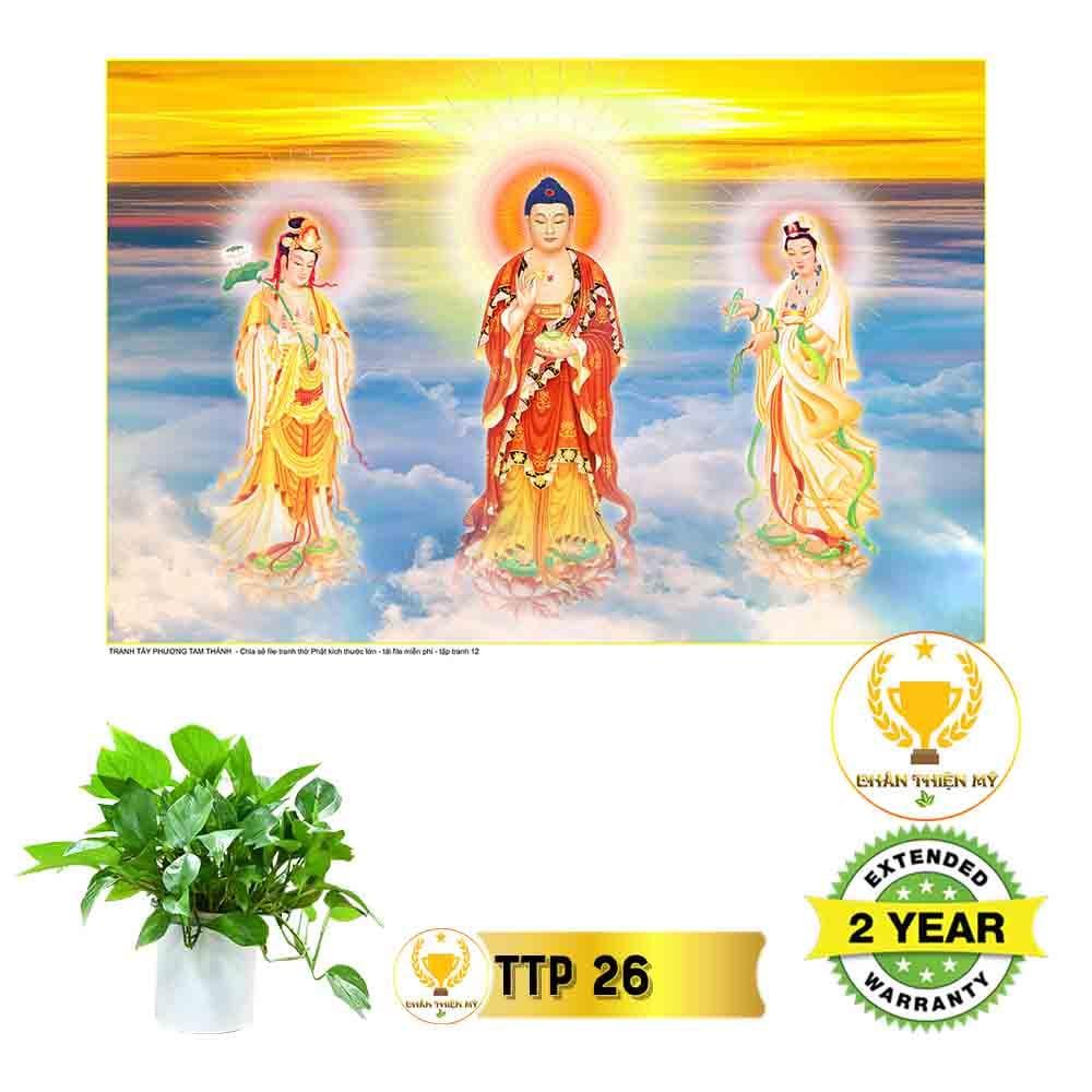 Tranh điện Tam Thế Phật_TTP3