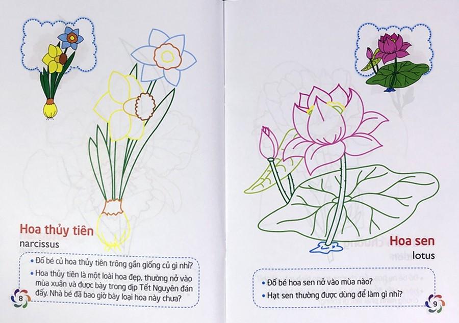 Sách Tập Tô Màu Và Nhận Biết Thế Giới Xung Quanh - Các Loại Hoa