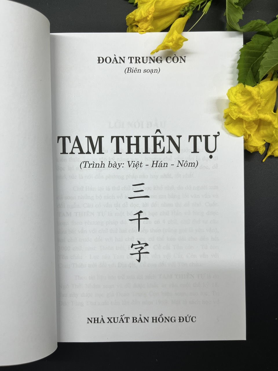 Tam thiên tự - Đoàn Trung Còn