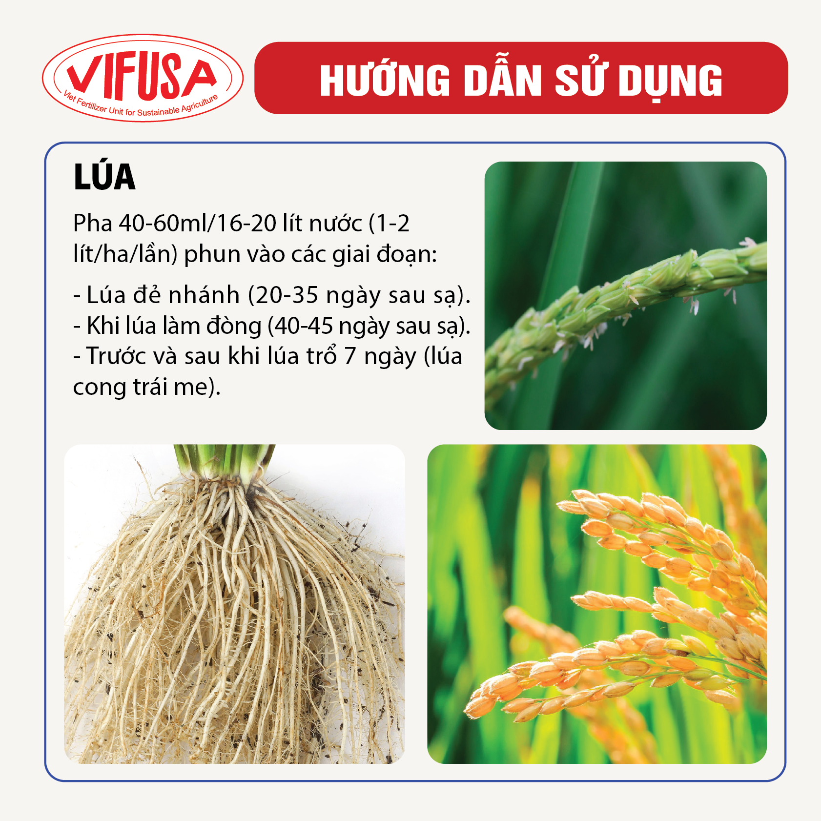 VIFUSA-P15 - Phân bón Siêu lân đỏ chai 250ml
