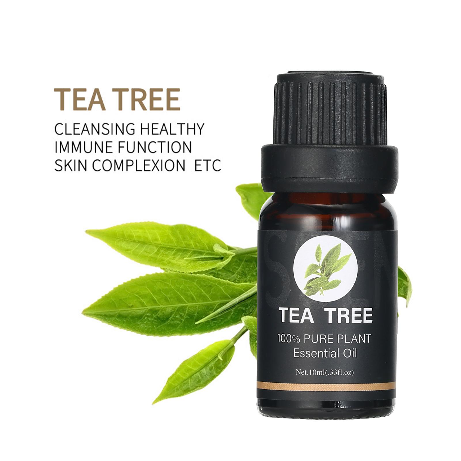Bộ 6 chai Tinh dầu Thực vật Tự nhiên 10ml để xông không khí, giảm căng thẳng, thư giãn