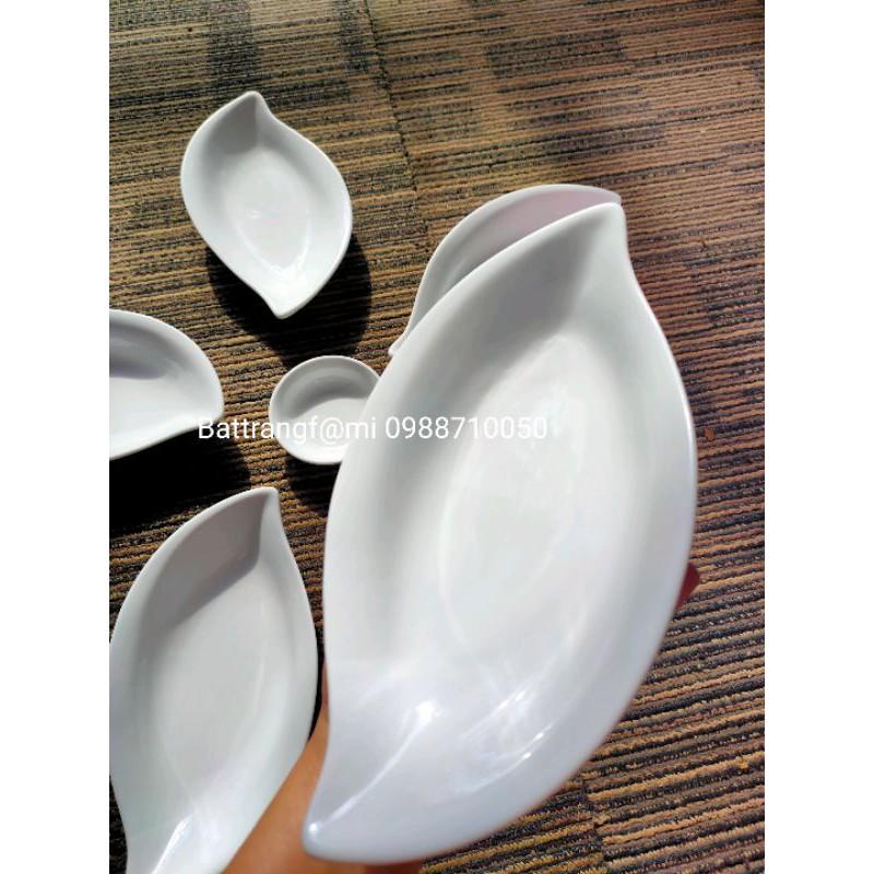 Bộ đĩa thuyền Hoa