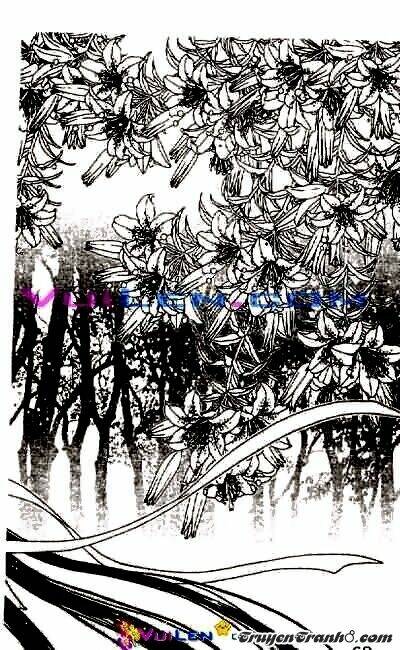 đóa hoa yêu kiều chapter 8 50