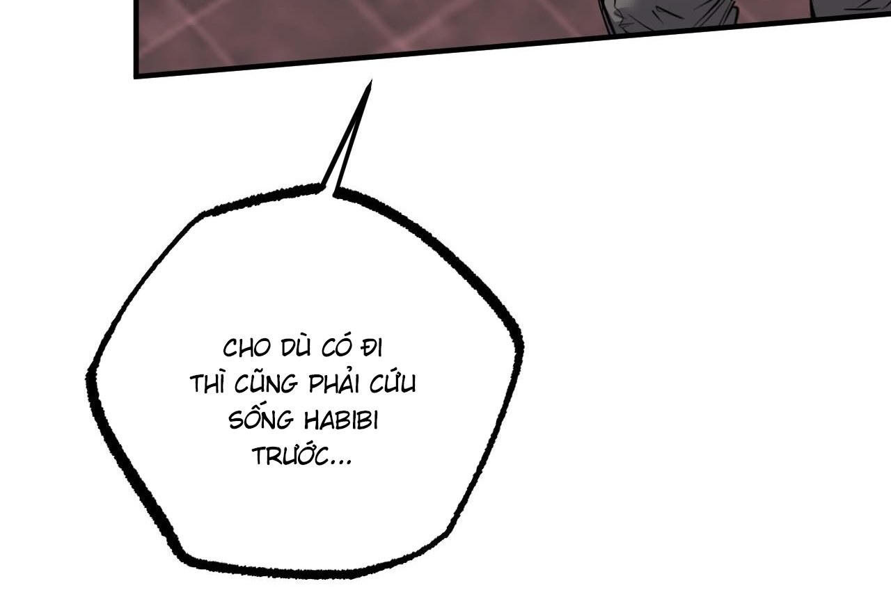 những chú thỏ của hapypy chapter 62 190