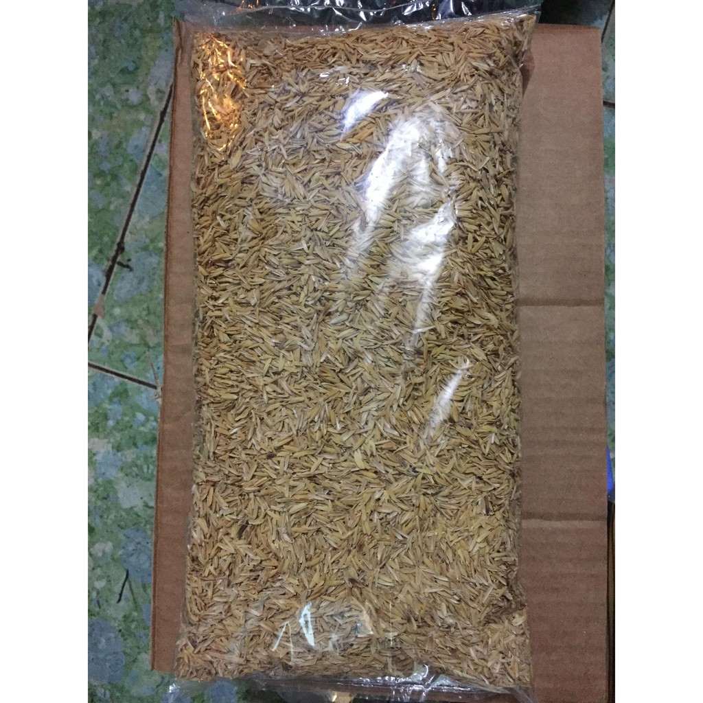 Giá Thể Trồng Cây - Vỏ Trấu Trắng