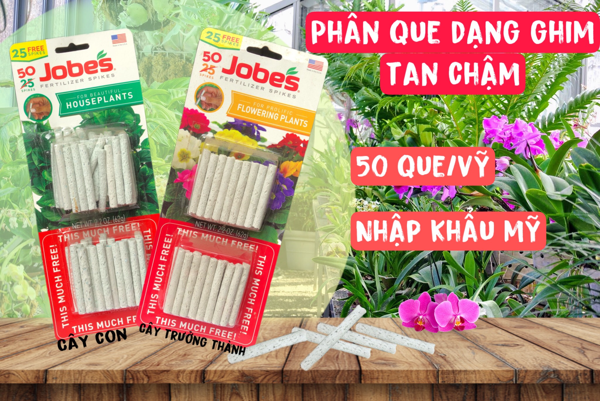 QUE DINH DƯỠNG JOBE’S Vỉ 50 Que