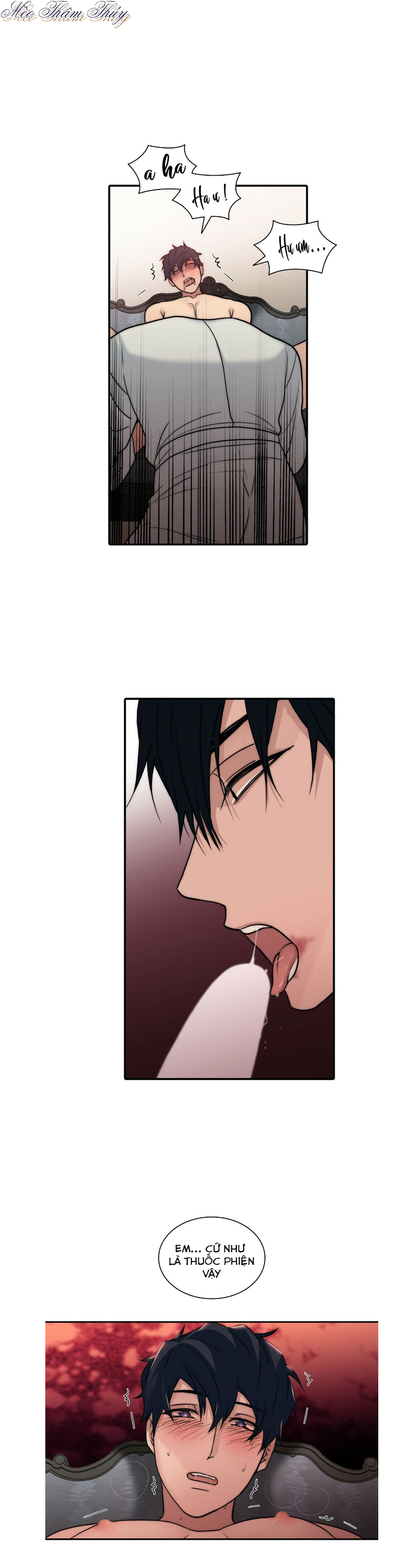 giai điệu của ngôn ngữ chapter 65 12