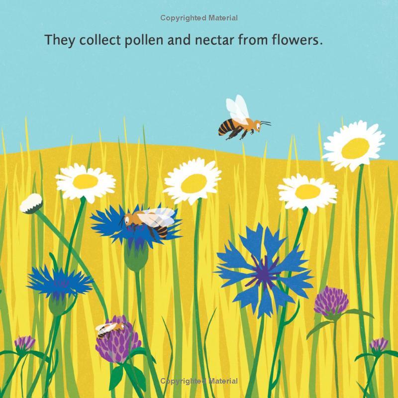 Sách ngoại văn: Polly Bee Makes Honey