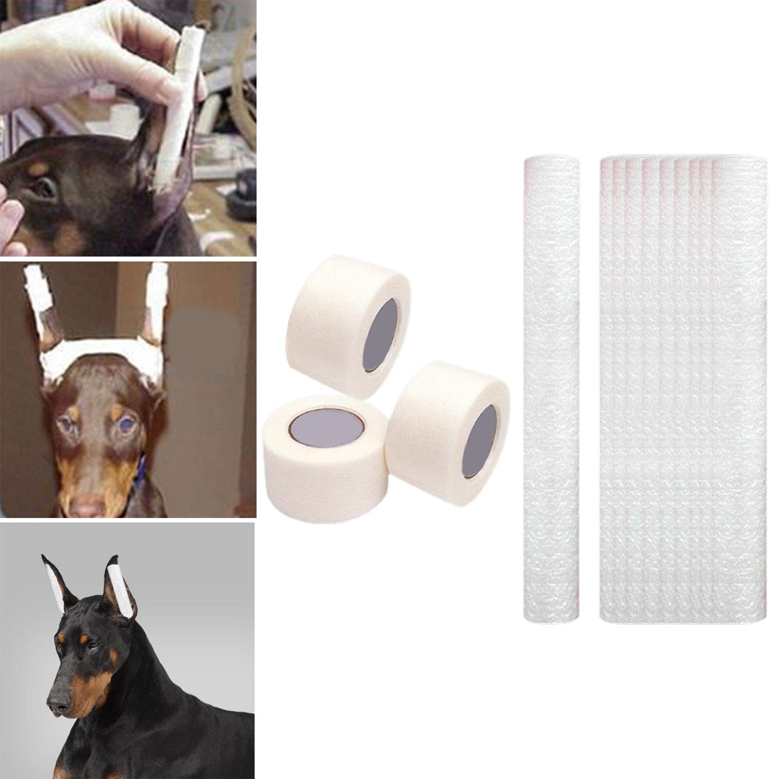 Pet dog ears Stand up Support Ear Sticker Horse Doberman for Animals Tool
