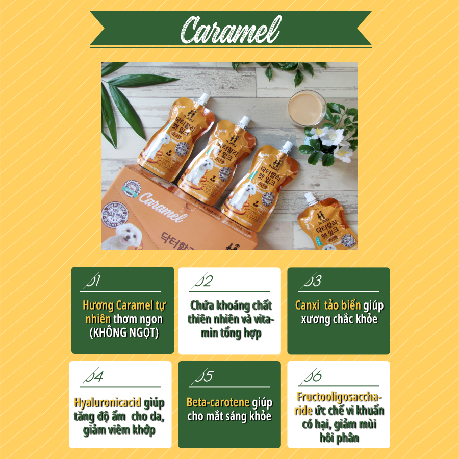 SỮA TƯƠI DINH DƯỠNG CHO CHÓ HƯƠNG CARAMEL DR.HOLI PET MILK CARAMEL 200ML