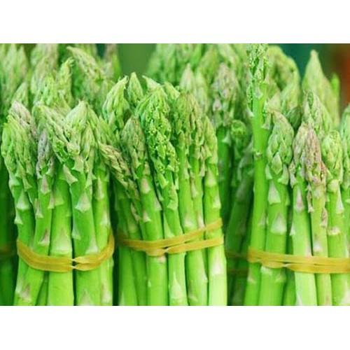 Măng Tây Xanh Mỹ F1 khoảng 40 hạt