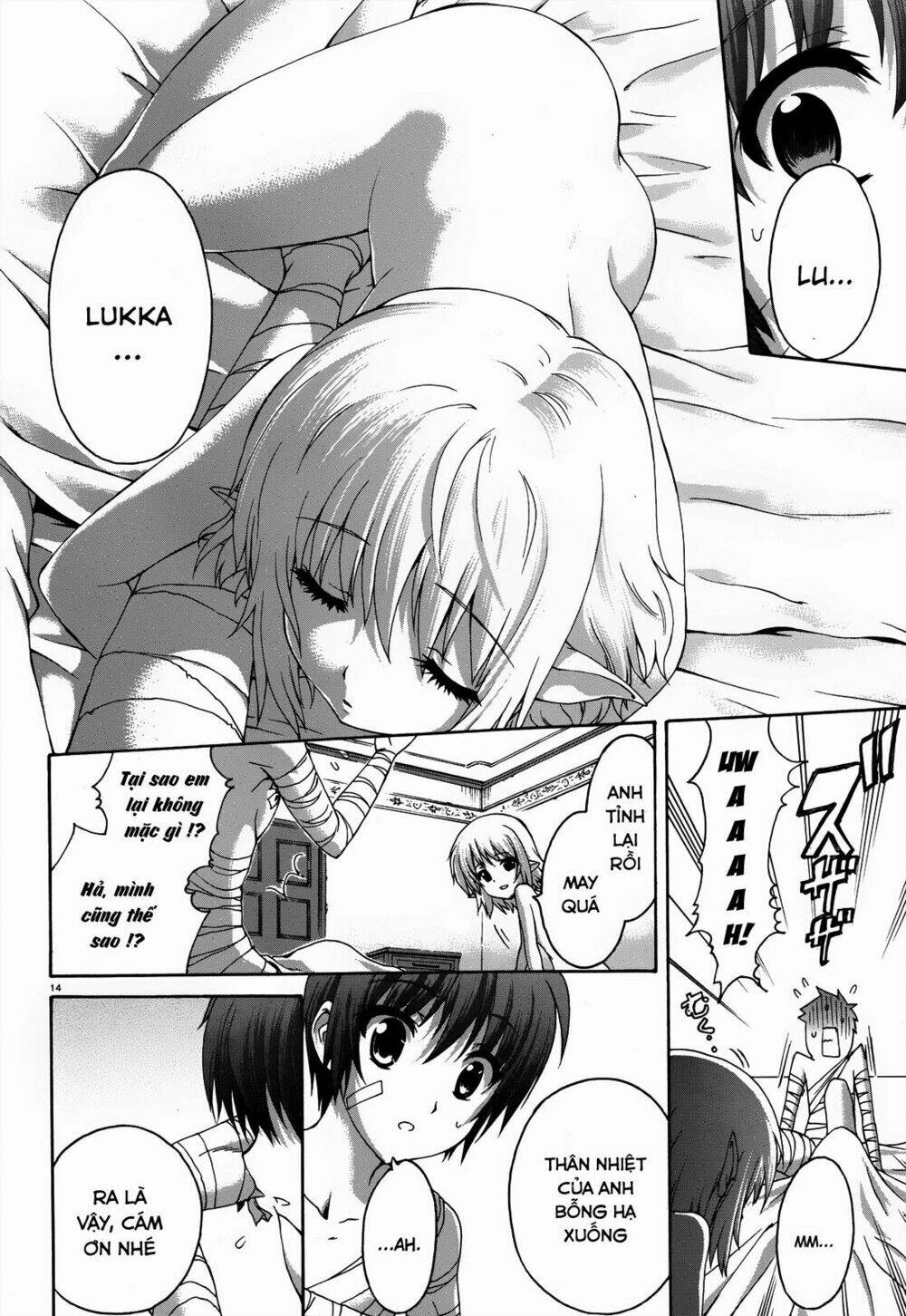 seikoku no dragonar chapter 20 15