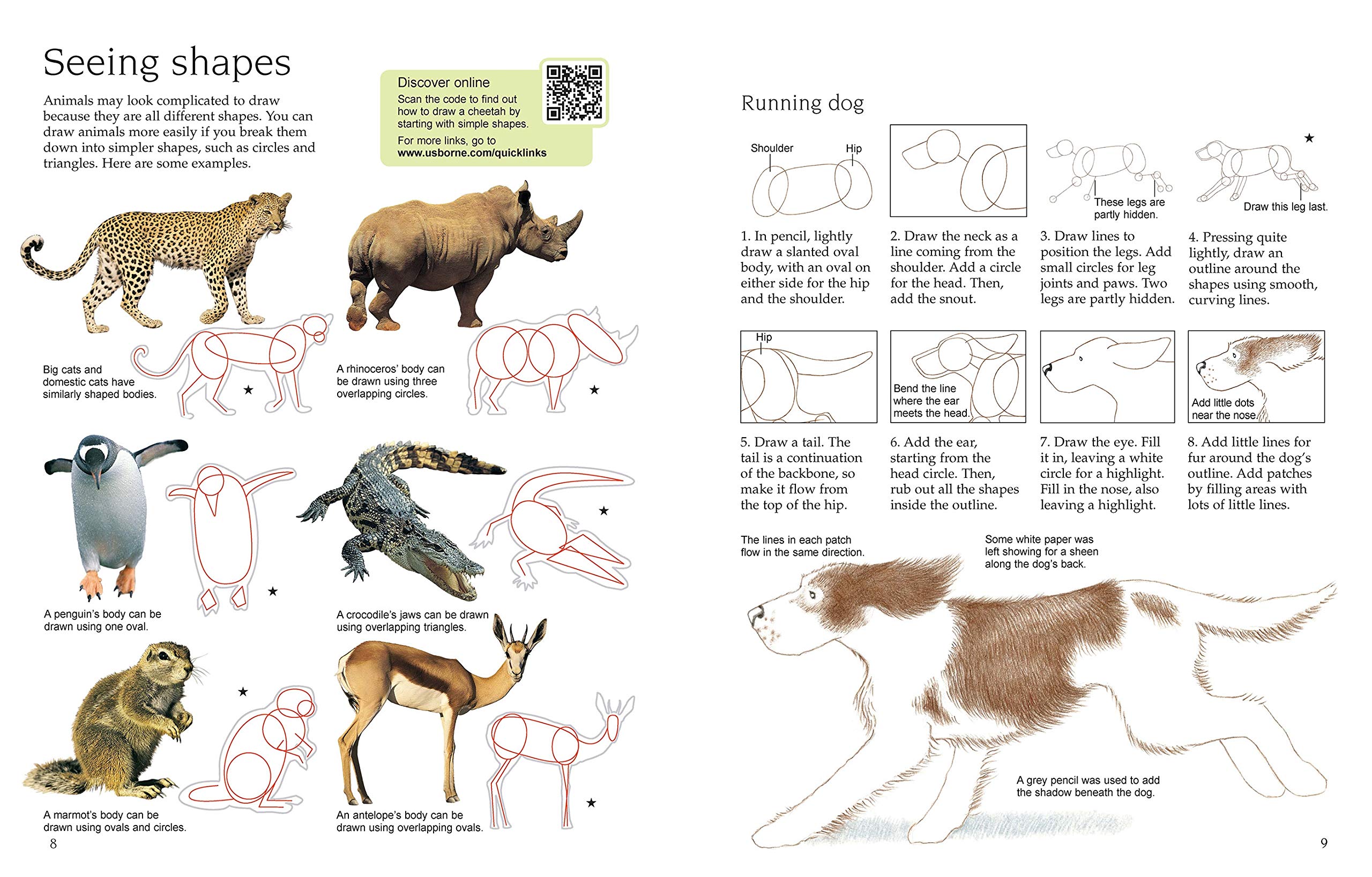 Sách tô vẽ tiếng Anh: Usborne Art Ideas Drawing Animals