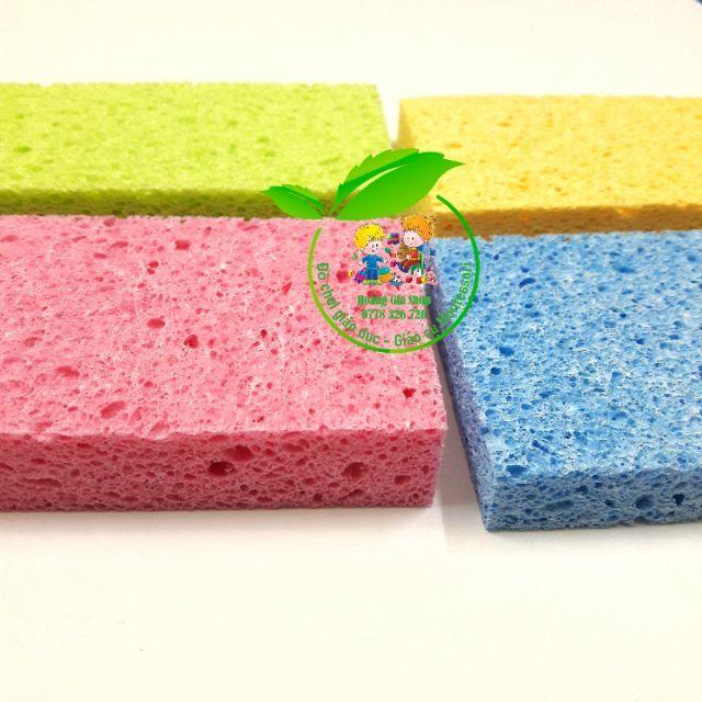 Bọt biển Cellulose Sponges