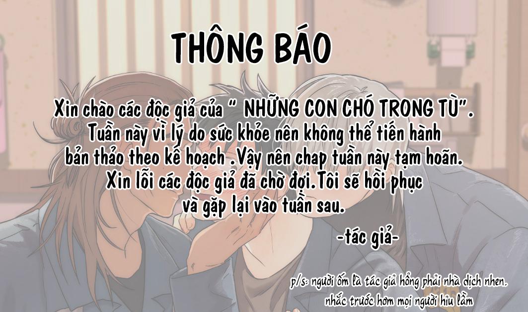 NHỮNG CON CHÓ TRONG TÙ chapter 18.1