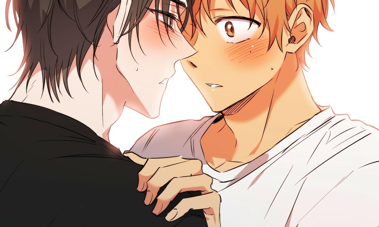 đàn thỏ của habibi chapter 53 262