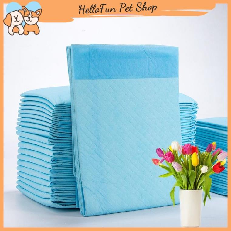 Tã lót chuồng cho chó mèo đi vệ sinh