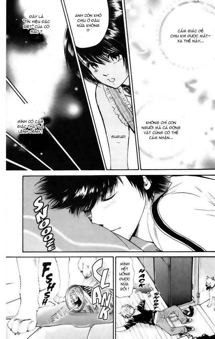 cô nàng yêu chó chapter 8 17