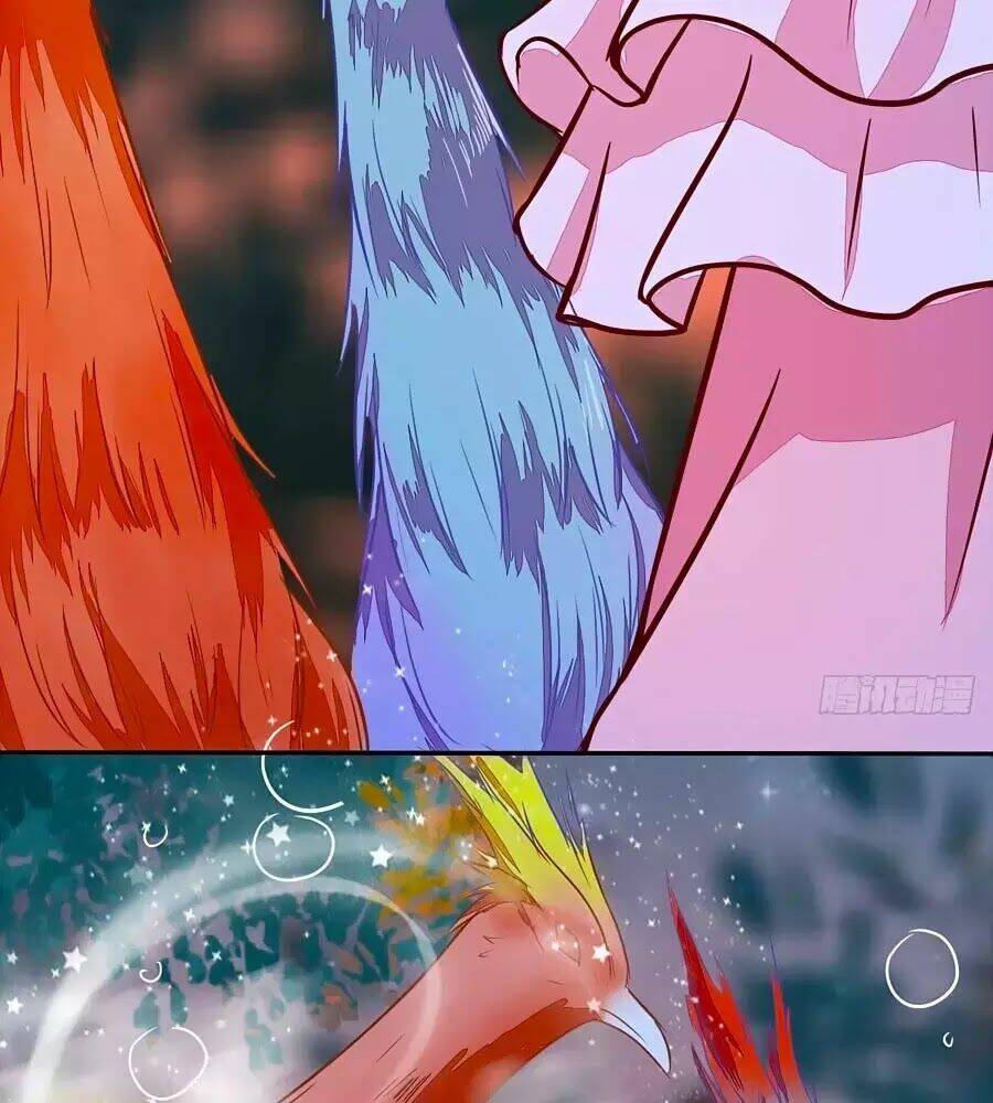 thần y khí nữ: ngự thú cuồng phi của quỷ đế chapter 70 35