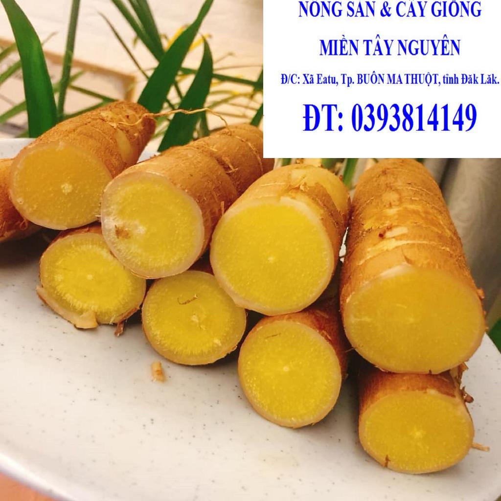 6 KG CỦ tươi KHOAI MÌ RUỘT VÀNG DẺO