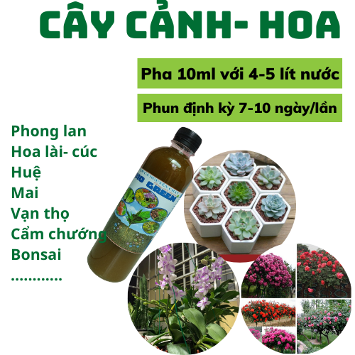 Chai 500ml- Đạm Cá nguyên chất BIOGREEN -KHÔNG CHẤT PHỤ GIA, CHIẾT XUẤT TỪ NGUỒN ĐẠM CÁ TINH KHIẾT