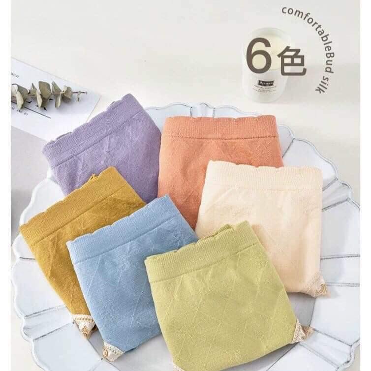 Set 5 quần chip cotton ren dễ thương