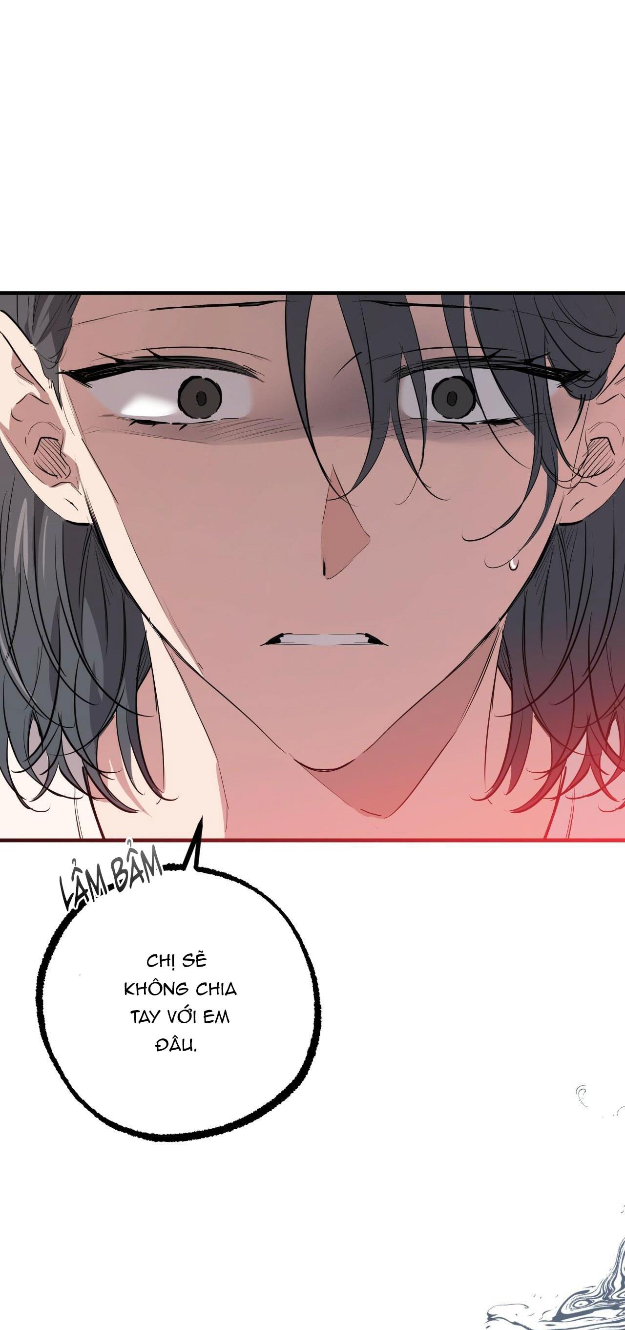 những chú thỏ của hapypy chapter 36 11