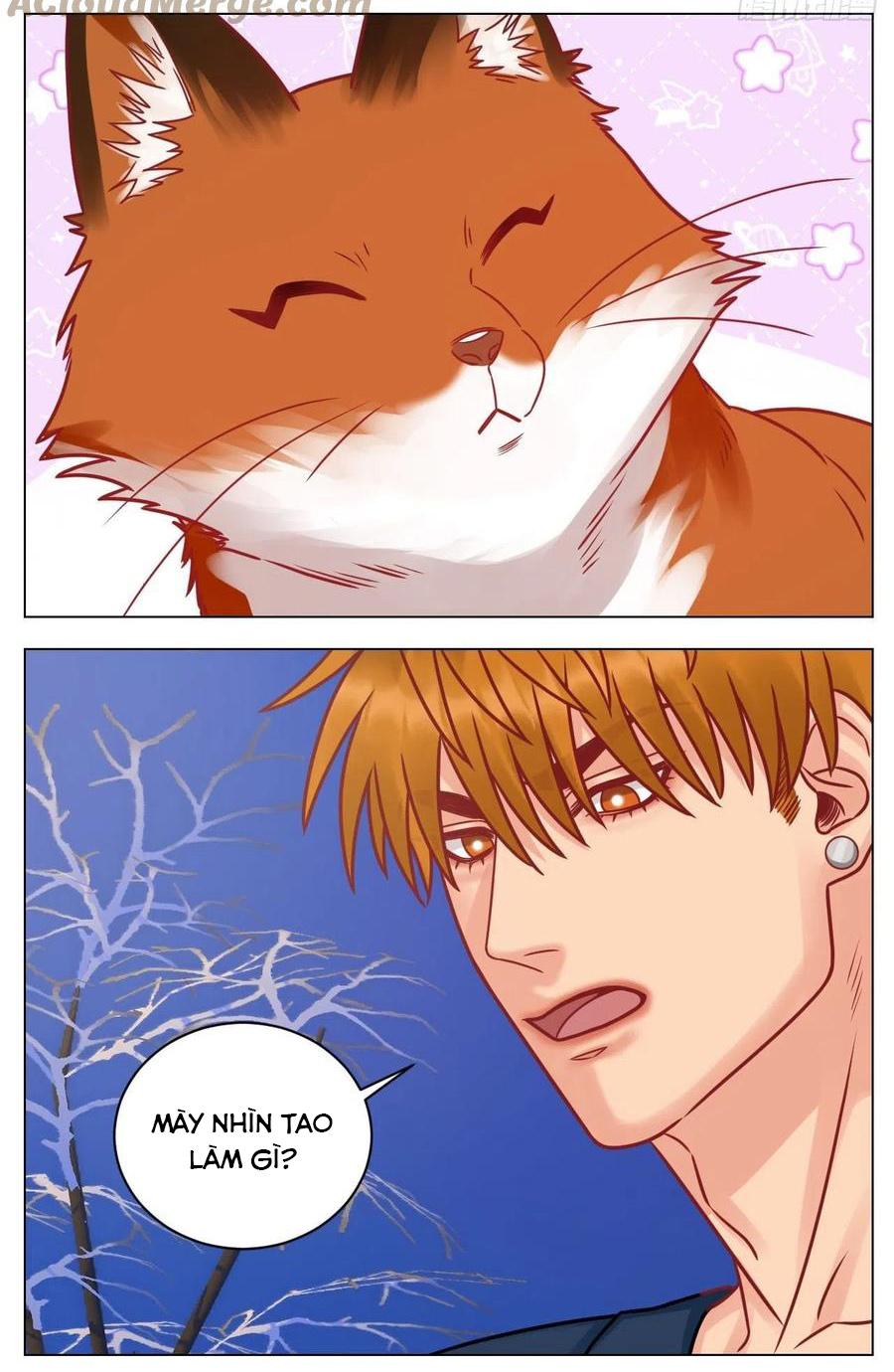 ký túc xá nam phòng 303 chapter 189 5