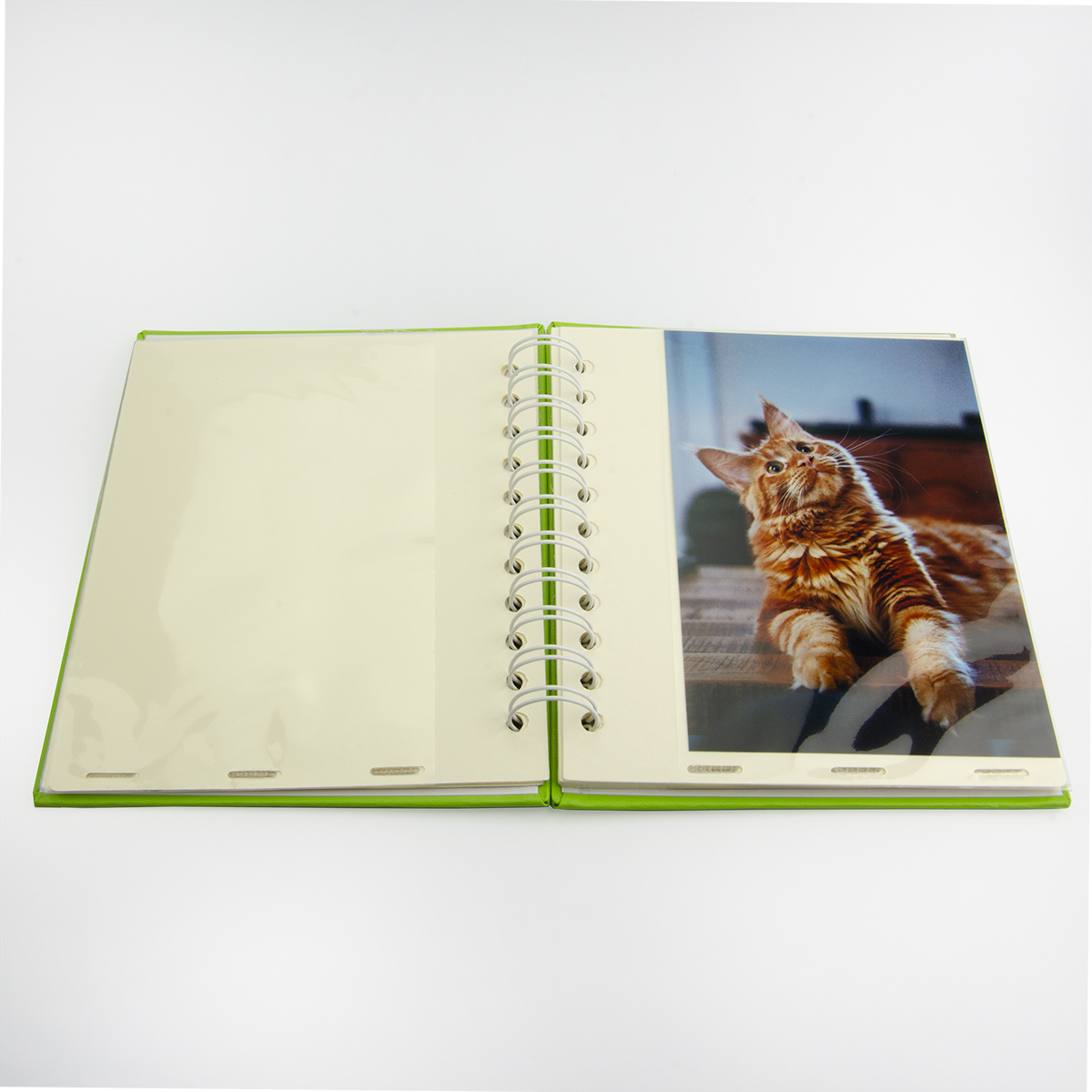 Album Wino 460 - Album Ảnh 10x15cm/40 Hình - BRW-460 - Album Monesta