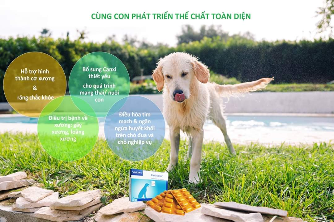 Calci Delice bổ sung Canxi và khoáng chất cho chó (1 hộp x 30 viên)