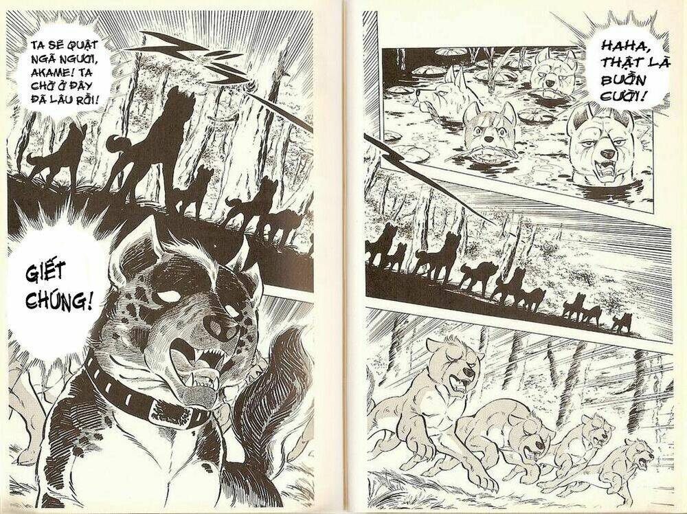 chú chó có nghĩa - ginga nagareboshi gin chapter 19 21