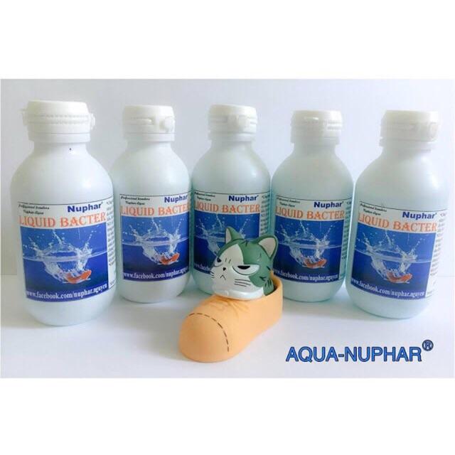 KHỬ ĐỘC VÀ CHỐNG SỐC CHO C Á | LIQUID BACTER