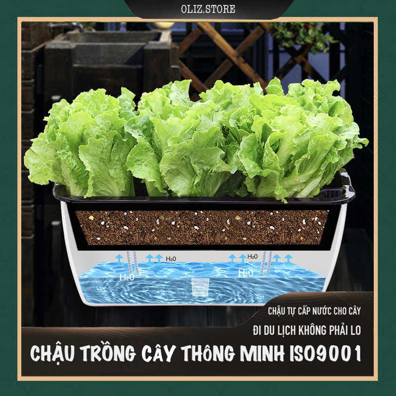 Chậu trồng rau SC0. Chậu trồng rau thông minh tự dưỡng, chậu nhựa trồng cây, chậu trồng hoa