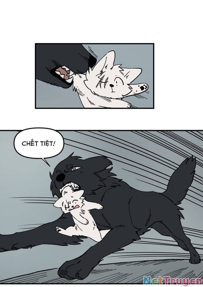 lumine - cội nguồn ánh sáng chapter 160 14