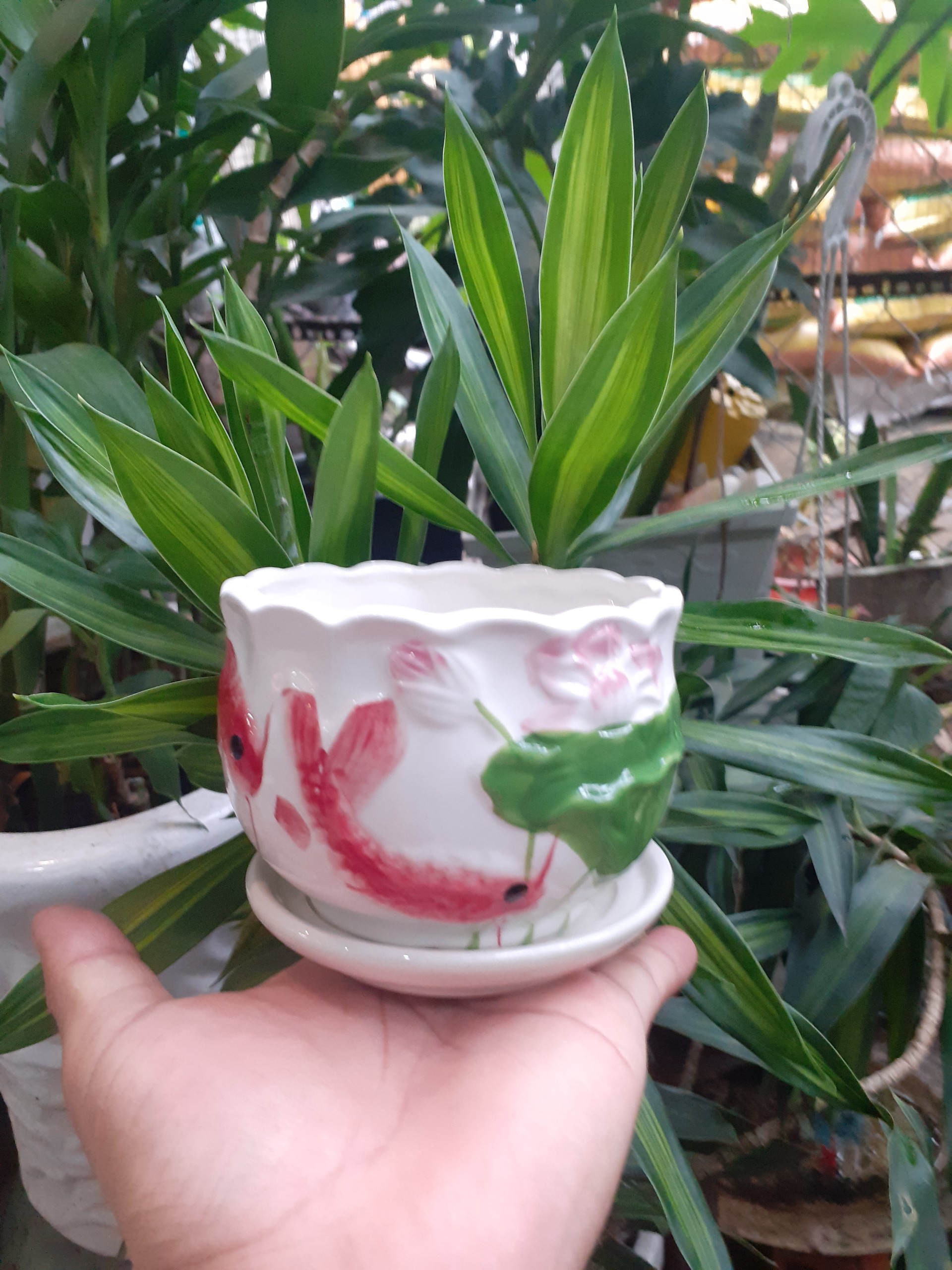 Chậu sứ tròn kèm dĩa dập nổi cá chép hoa sen