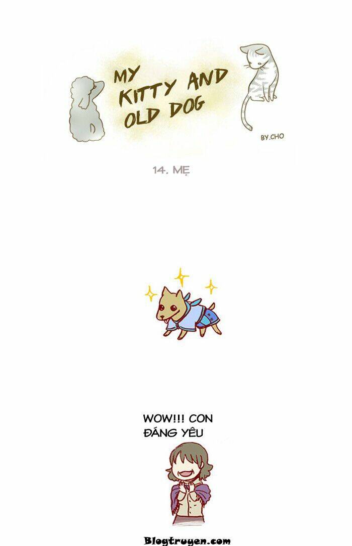 my kitty and old dog chapter 14 2