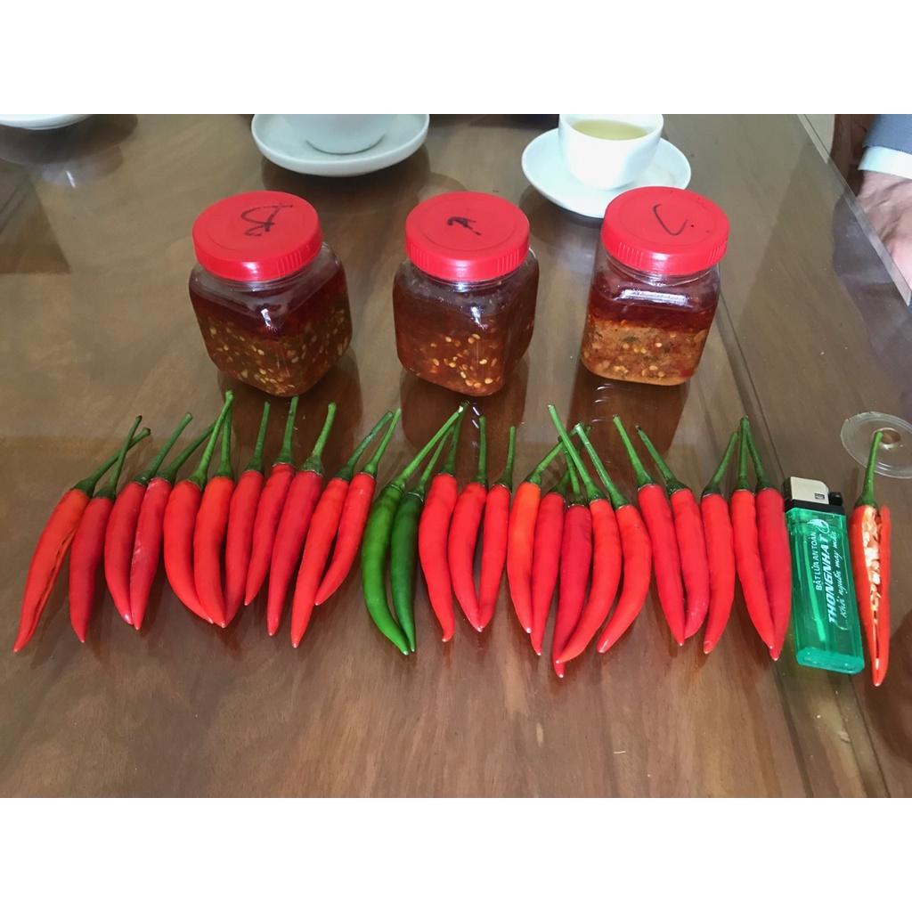Hạt Giống Ớt Chỉ Thiên Lai F1 - AGRI THAI 666
